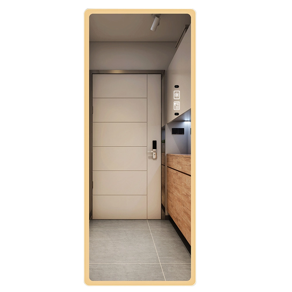 กระจกห้องแต่งตัว LED ขนาดใหญ่ Smart LED Lighted Full Length Mirror